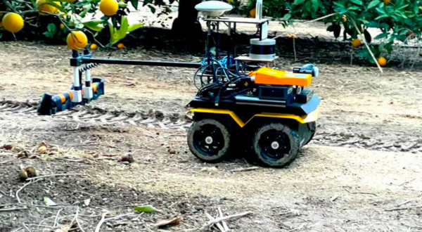 Robot assisting with precision irrigation in an orchard