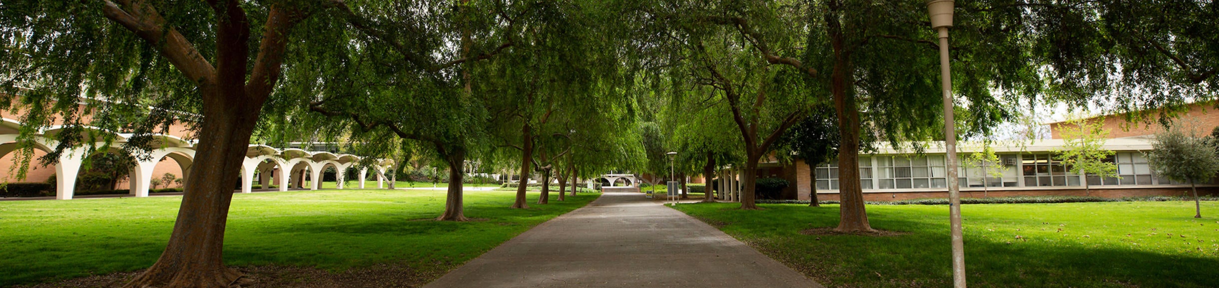 Rivera walkway (c) UCR/Stan Lim