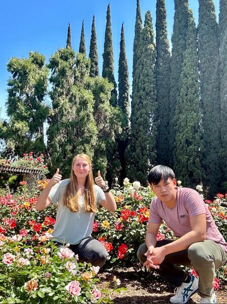 Two people sitting among rose bushes