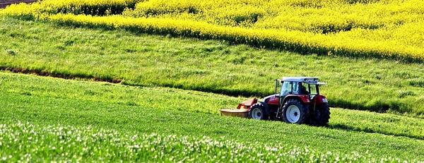 Tractor in the field