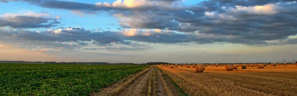 clouds over a field