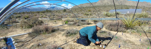 student researching in the field