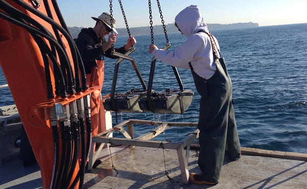 taking ocean samples