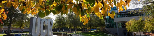 UCR sign under fall leaves (c) UCR/Stan Lim