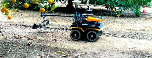 Robot assisting with precision irrigation in an orchard