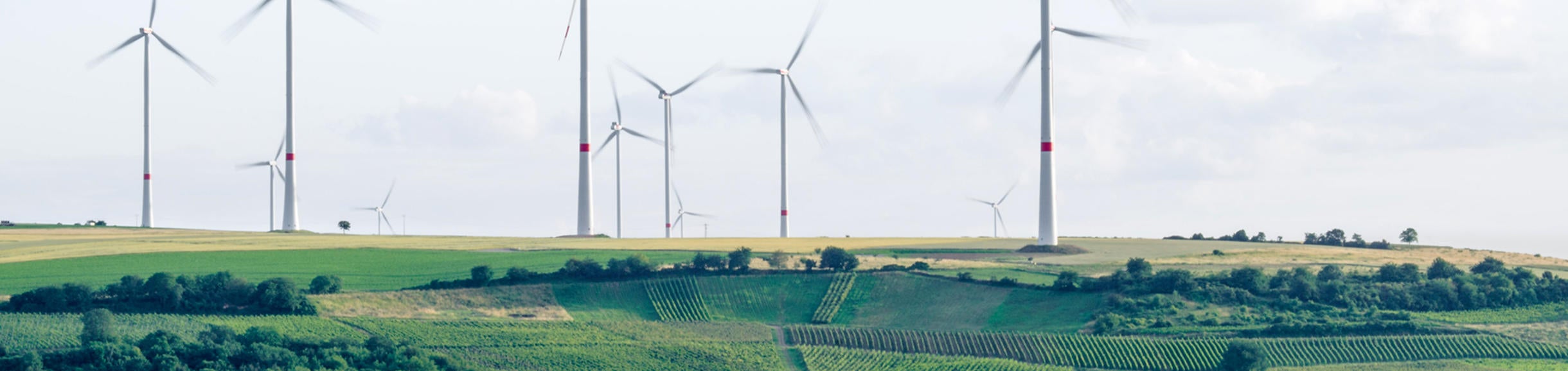 wind turbines in a field (c) Karsten Wurth unsplash